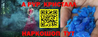 спиды Кимры