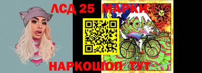 2c-b Кингисепп