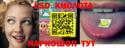 2c-b Кингисепп