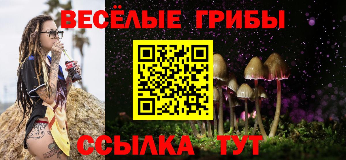 Галлюциногенные грибы прущие грибы Лениногорск