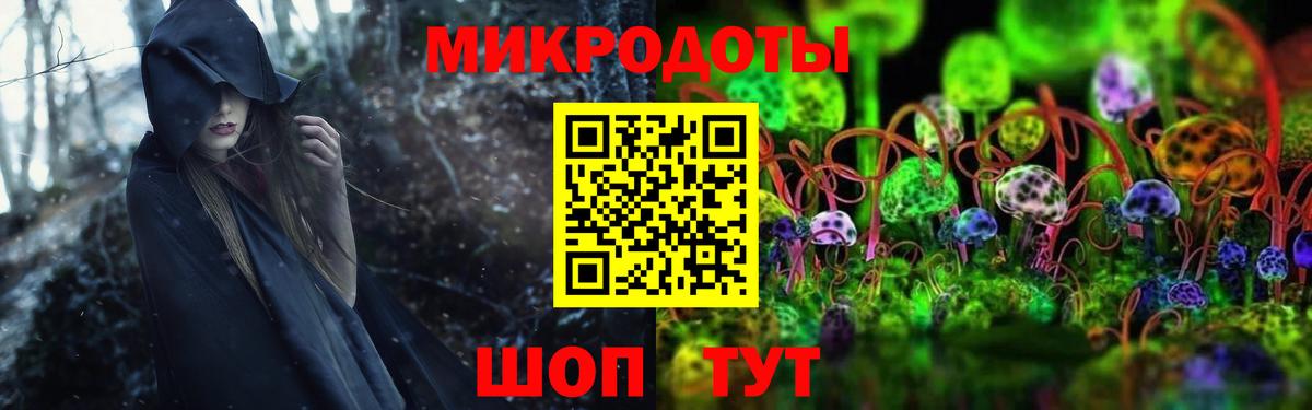 Лениногорск  Псилоцибиновые грибы Cubensis  Галлюциногенные грибы мицелий  Вход с VPN 